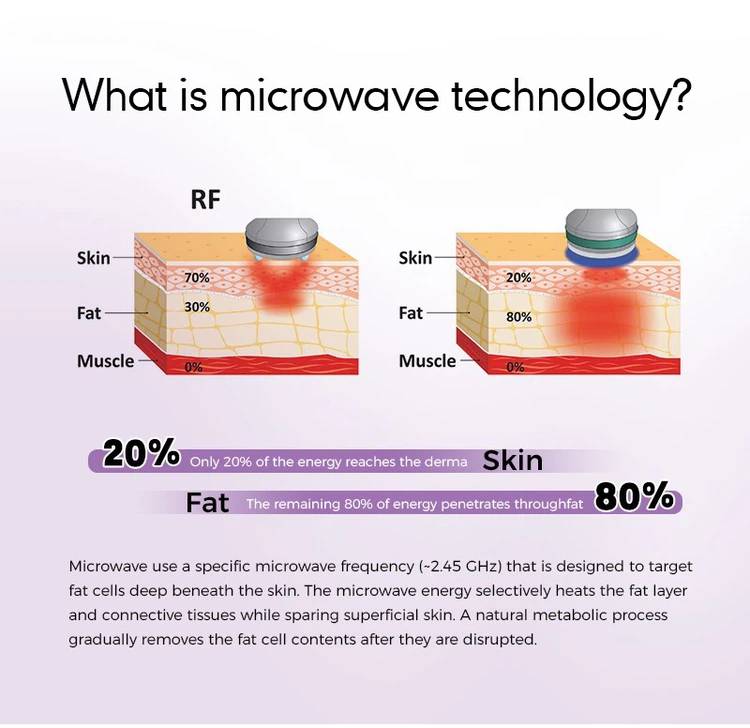 Commercial Microwave Fat Loss Equipment Commercial Microwave Fat Loss Equipment